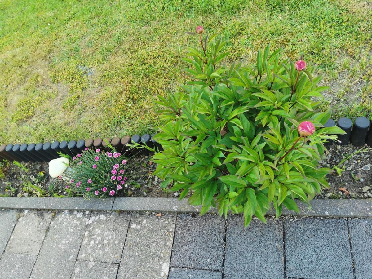 4-Zimmer-Wohnung Mit 6 Betten Bad Oeynhausen Exterior foto
